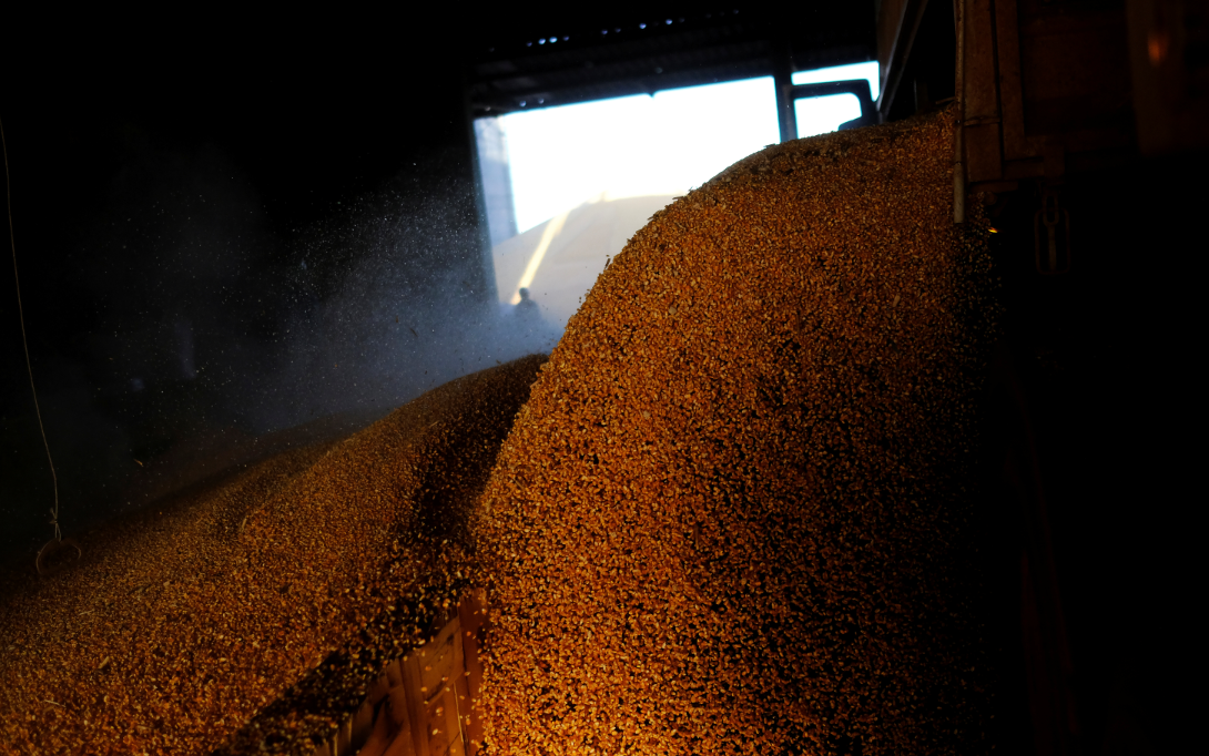 Produção De Petróleo Do Brasil Bate Novo Recorde Em Maio, Diz Anp 3 Governo Reduz Repasse Para Investimentos Do Plano Safra 2025/2026